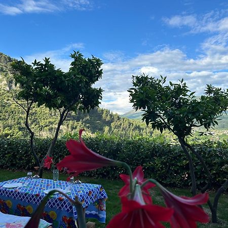 Hotel Villa Edis Berat Esterno foto