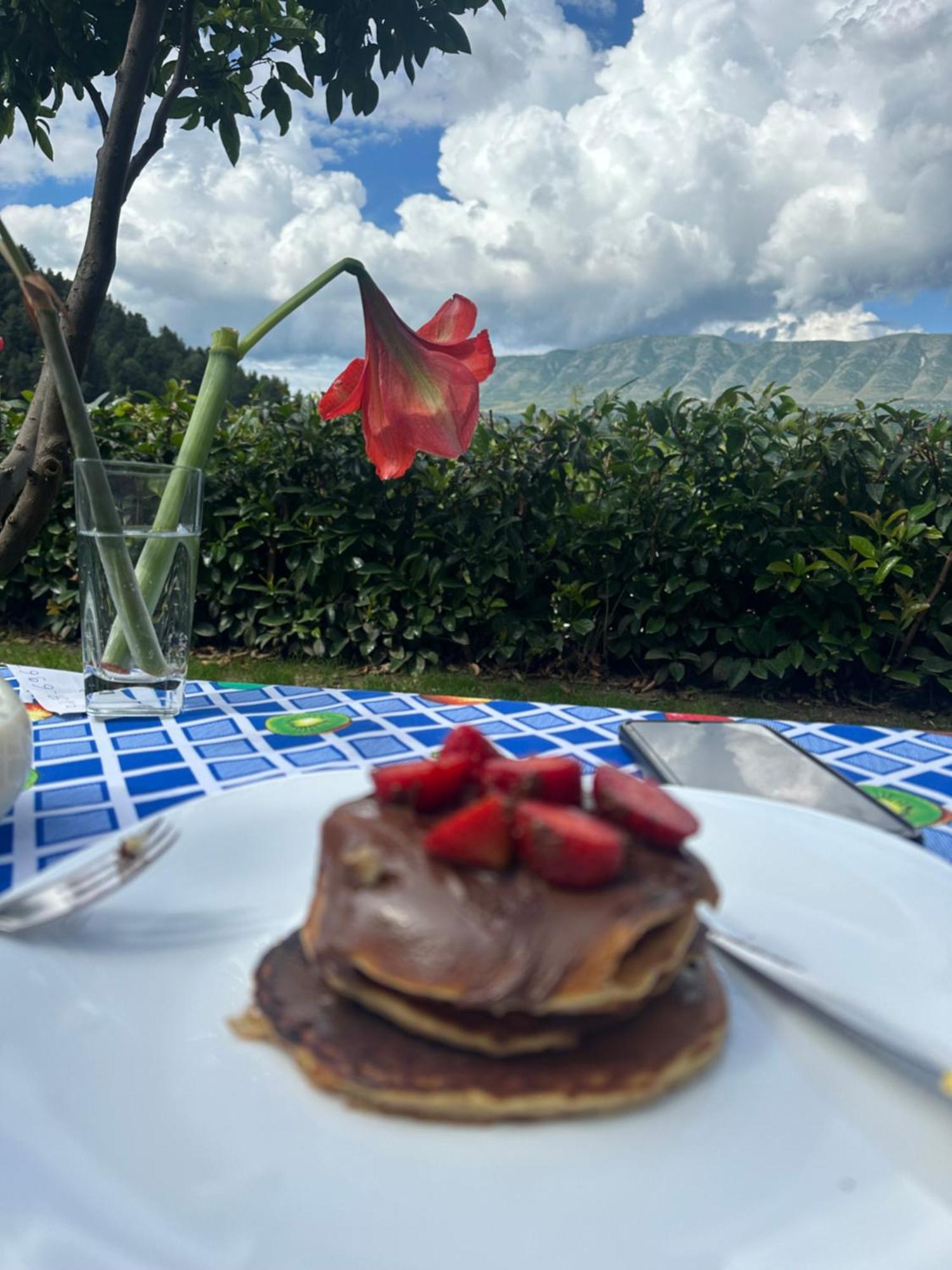 Hotel Villa Edis Berat Esterno foto